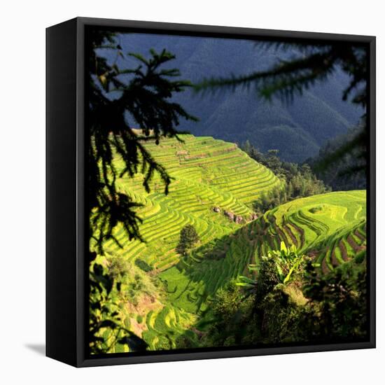 China 10MKm2 Collection - Rice Terraces - Longsheng Ping'an - Guangxi-Philippe Hugonnard-Framed Stretched Canvas