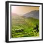 China 10MKm2 Collection - Rice Terraces - Longsheng Ping'an - Guangxi-Philippe Hugonnard-Framed Premium Photographic Print