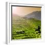 China 10MKm2 Collection - Rice Terraces - Longsheng Ping'an - Guangxi-Philippe Hugonnard-Framed Premium Photographic Print