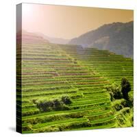 China 10MKm2 Collection - Rice Terraces - Longsheng Ping'an - Guangxi-Philippe Hugonnard-Stretched Canvas