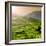 China 10MKm2 Collection - Rice Terraces - Longsheng Ping'an - Guangxi-Philippe Hugonnard-Framed Photographic Print