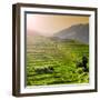 China 10MKm2 Collection - Rice Terraces - Longsheng Ping'an - Guangxi-Philippe Hugonnard-Framed Photographic Print