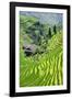 China 10MKm2 Collection - Rice Terraces - Longsheng Ping'an - Guangxi-Philippe Hugonnard-Framed Photographic Print