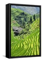 China 10MKm2 Collection - Rice Terraces - Longsheng Ping'an - Guangxi-Philippe Hugonnard-Framed Stretched Canvas