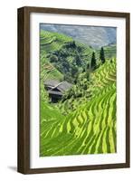 China 10MKm2 Collection - Rice Terraces - Longsheng Ping'an - Guangxi-Philippe Hugonnard-Framed Photographic Print