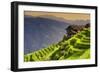 China 10MKm2 Collection - Rice Terraces - Longsheng Ping'an - Guangxi-Philippe Hugonnard-Framed Photographic Print