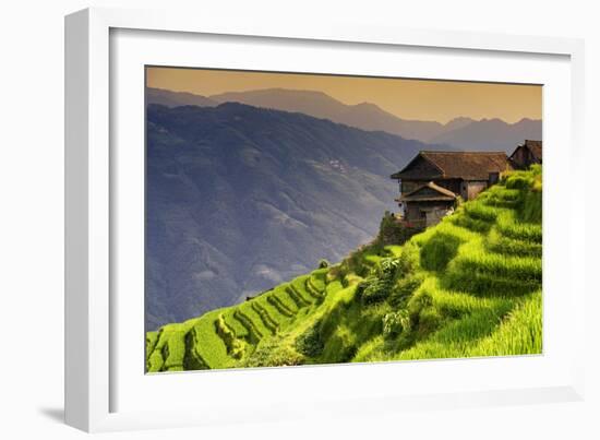 China 10MKm2 Collection - Rice Terraces - Longsheng Ping'an - Guangxi-Philippe Hugonnard-Framed Photographic Print