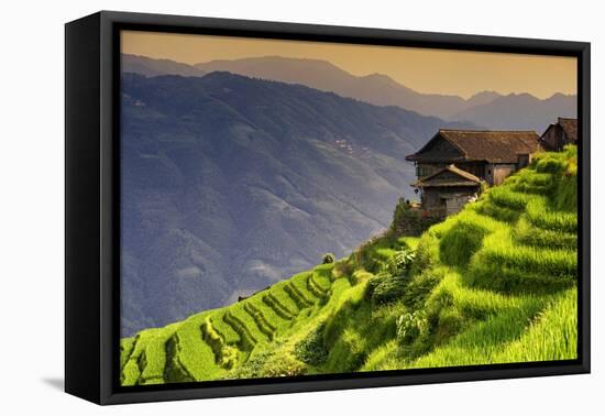 China 10MKm2 Collection - Rice Terraces - Longsheng Ping'an - Guangxi-Philippe Hugonnard-Framed Stretched Canvas