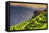 China 10MKm2 Collection - Rice Terraces - Longsheng Ping'an - Guangxi-Philippe Hugonnard-Framed Stretched Canvas