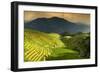 China 10MKm2 Collection - Rice Terraces - Longsheng Ping'an - Guangxi-Philippe Hugonnard-Framed Photographic Print