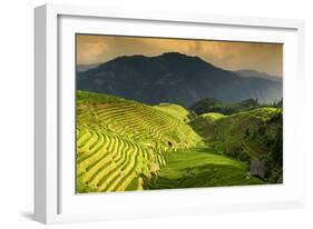 China 10MKm2 Collection - Rice Terraces - Longsheng Ping'an - Guangxi-Philippe Hugonnard-Framed Photographic Print