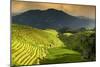 China 10MKm2 Collection - Rice Terraces - Longsheng Ping'an - Guangxi-Philippe Hugonnard-Mounted Photographic Print