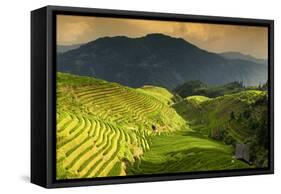 China 10MKm2 Collection - Rice Terraces - Longsheng Ping'an - Guangxi-Philippe Hugonnard-Framed Stretched Canvas