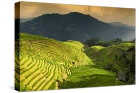 China 10MKm2 Collection - Rice Terraces - Longsheng Ping'an - Guangxi-Philippe Hugonnard-Stretched Canvas