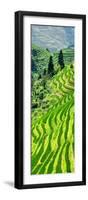 China 10MKm2 Collection - Rice Terraces - Longsheng Ping'an - Guangxi-Philippe Hugonnard-Framed Photographic Print