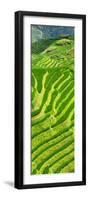 China 10MKm2 Collection - Rice Terraces - Longsheng Ping'an - Guangxi-Philippe Hugonnard-Framed Photographic Print