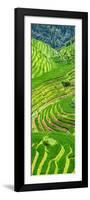 China 10MKm2 Collection - Rice Terraces - Longsheng Ping'an - Guangxi-Philippe Hugonnard-Framed Photographic Print