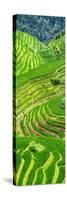 China 10MKm2 Collection - Rice Terraces - Longsheng Ping'an - Guangxi-Philippe Hugonnard-Stretched Canvas