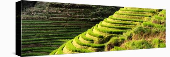 China 10MKm2 Collection - Rice Terraces - Longsheng Ping'an - Guangxi-Philippe Hugonnard-Stretched Canvas