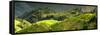 China 10MKm2 Collection - Rice Terraces - Longsheng Ping'an - Guangxi-Philippe Hugonnard-Framed Stretched Canvas