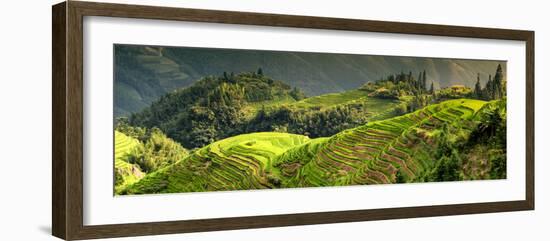 China 10MKm2 Collection - Rice Terraces - Longsheng Ping'an - Guangxi-Philippe Hugonnard-Framed Photographic Print