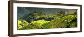 China 10MKm2 Collection - Rice Terraces - Longsheng Ping'an - Guangxi-Philippe Hugonnard-Framed Photographic Print