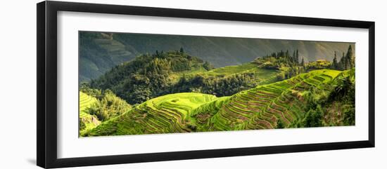 China 10MKm2 Collection - Rice Terraces - Longsheng Ping'an - Guangxi-Philippe Hugonnard-Framed Photographic Print