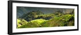 China 10MKm2 Collection - Rice Terraces - Longsheng Ping'an - Guangxi-Philippe Hugonnard-Framed Photographic Print