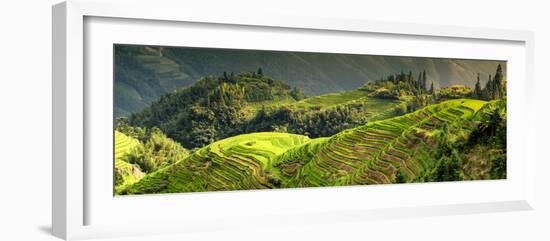 China 10MKm2 Collection - Rice Terraces - Longsheng Ping'an - Guangxi-Philippe Hugonnard-Framed Photographic Print