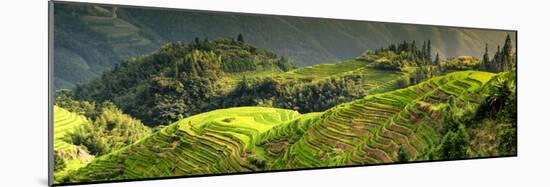 China 10MKm2 Collection - Rice Terraces - Longsheng Ping'an - Guangxi-Philippe Hugonnard-Mounted Photographic Print