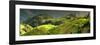 China 10MKm2 Collection - Rice Terraces - Longsheng Ping'an - Guangxi-Philippe Hugonnard-Framed Photographic Print