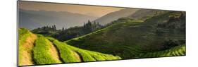 China 10MKm2 Collection - Rice Terraces - Longsheng Ping'an - Guangxi-Philippe Hugonnard-Mounted Photographic Print