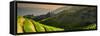 China 10MKm2 Collection - Rice Terraces - Longsheng Ping'an - Guangxi-Philippe Hugonnard-Framed Stretched Canvas