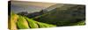 China 10MKm2 Collection - Rice Terraces - Longsheng Ping'an - Guangxi-Philippe Hugonnard-Stretched Canvas