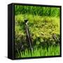 China 10MKm2 Collection - Rice Terraces - Longsheng Ping'an - Guangxi-Philippe Hugonnard-Framed Stretched Canvas