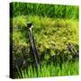 China 10MKm2 Collection - Rice Terraces - Longsheng Ping'an - Guangxi-Philippe Hugonnard-Stretched Canvas