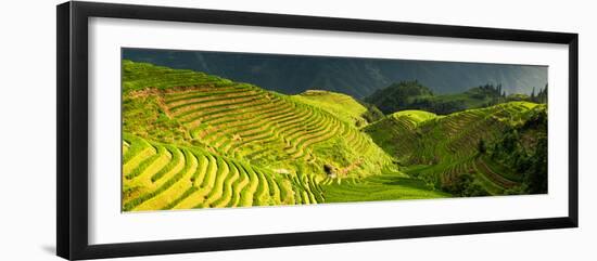 China 10MKm2 Collection - Rice Terraces - Longsheng Ping'an - Guangxi-Philippe Hugonnard-Framed Photographic Print