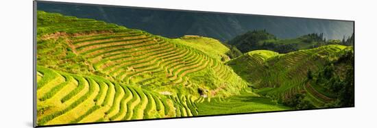 China 10MKm2 Collection - Rice Terraces - Longsheng Ping'an - Guangxi-Philippe Hugonnard-Mounted Photographic Print