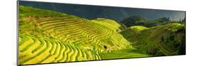 China 10MKm2 Collection - Rice Terraces - Longsheng Ping'an - Guangxi-Philippe Hugonnard-Mounted Photographic Print