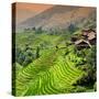 China 10MKm2 Collection - Rice Terraces - Longsheng Ping'an - Guangxi-Philippe Hugonnard-Stretched Canvas