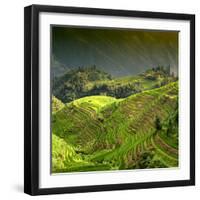 China 10MKm2 Collection - Rice Terraces - Longsheng Ping'an - Guangxi-Philippe Hugonnard-Framed Photographic Print