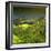 China 10MKm2 Collection - Rice Terraces - Longsheng Ping'an - Guangxi-Philippe Hugonnard-Framed Photographic Print