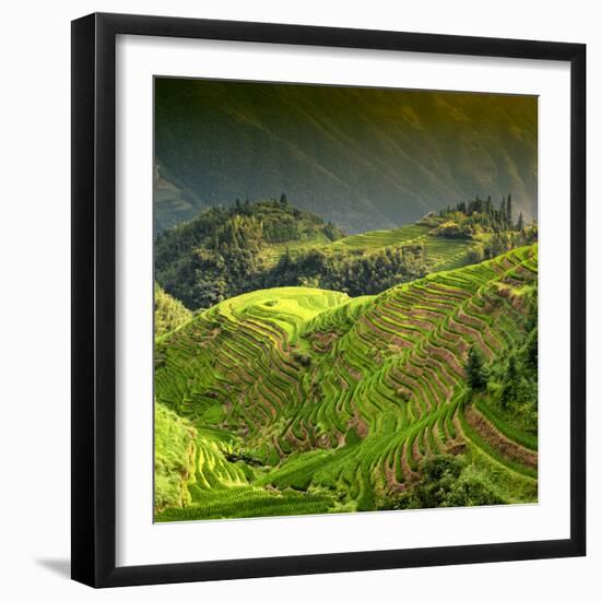 China 10MKm2 Collection - Rice Terraces - Longsheng Ping'an - Guangxi-Philippe Hugonnard-Framed Photographic Print