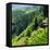 China 10MKm2 Collection - Rice Terraces - Longsheng Ping'an - Guangxi-Philippe Hugonnard-Framed Stretched Canvas