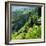 China 10MKm2 Collection - Rice Terraces - Longsheng Ping'an - Guangxi-Philippe Hugonnard-Framed Photographic Print