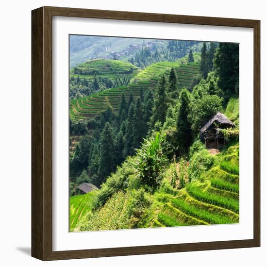 China 10MKm2 Collection - Rice Terraces - Longsheng Ping'an - Guangxi-Philippe Hugonnard-Framed Photographic Print