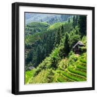 China 10MKm2 Collection - Rice Terraces - Longsheng Ping'an - Guangxi-Philippe Hugonnard-Framed Photographic Print