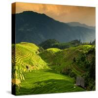 China 10MKm2 Collection - Rice Terraces - Longsheng Ping'an - Guangxi-Philippe Hugonnard-Stretched Canvas