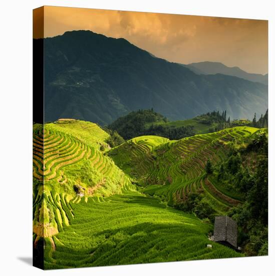 China 10MKm2 Collection - Rice Terraces - Longsheng Ping'an - Guangxi-Philippe Hugonnard-Stretched Canvas