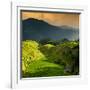 China 10MKm2 Collection - Rice Terraces - Longsheng Ping'an - Guangxi-Philippe Hugonnard-Framed Photographic Print